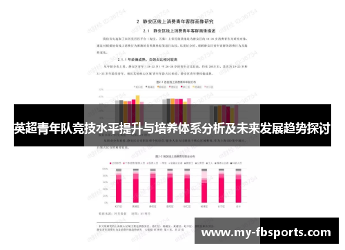 英超青年队竞技水平提升与培养体系分析及未来发展趋势探讨